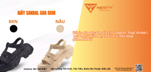  Giày quai hậu
